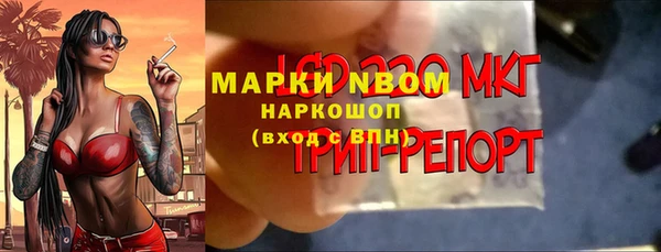 эйфоретик Богданович