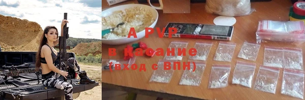эйфоретик Богданович