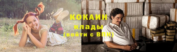 эйфоретик Богданович