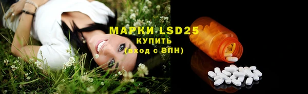 эйфоретик Богданович