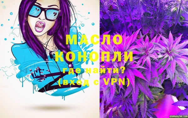 mix Богородицк