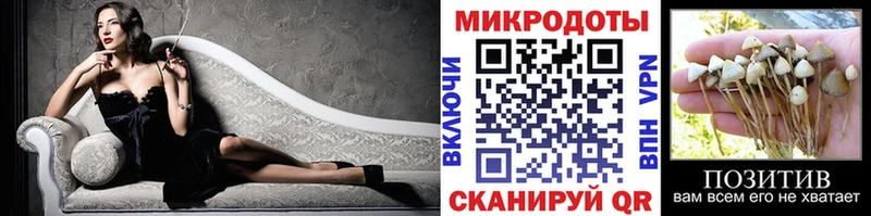Псилоцибиновые грибы прущие грибы  сколько стоит  Белинский 